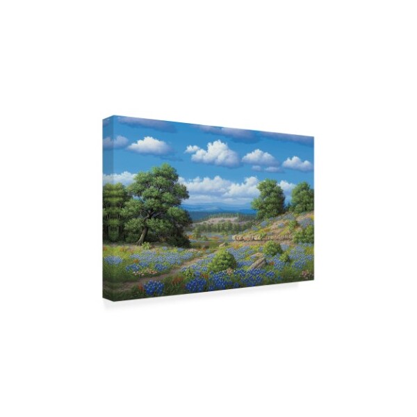 R W Hedge 'Hill Country Blues' Canvas Art,16x24